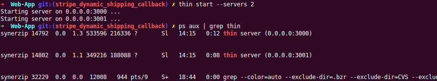 Thin Server